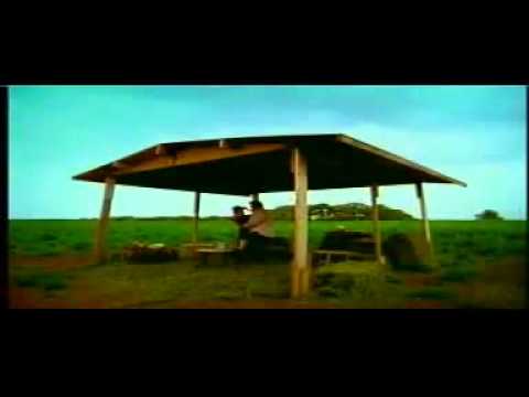 K Paz de la Sierra   Con Olor A Hierba