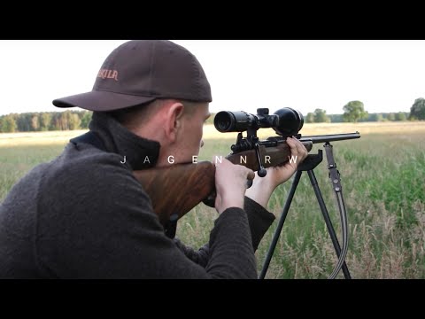 Pirsch auf SAUEN – Hunt on Demand  Free Episode – jagenNRW