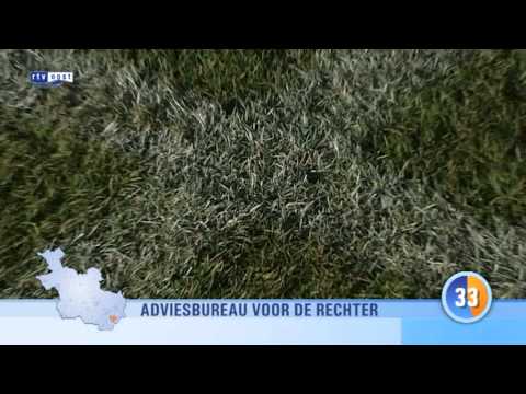 Nieuws in 1 minuut dinsdag 22 februari 2011