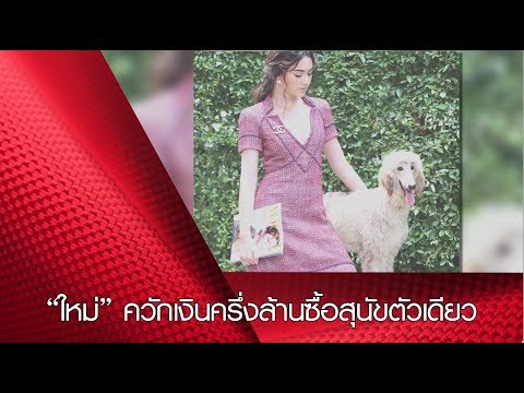 “ใหม่” ควักเงินครึ่งล้านซื้อสุนัขตัวเดียว