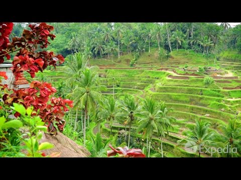 Bali Video Travel Guide | Expedia Asia