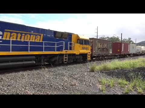 NR105 / NR51 / NR48 with PN 5NY3 - 1/5/25