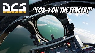 DCS: F-14B Tomcat Engages Hostile Iranian Jets