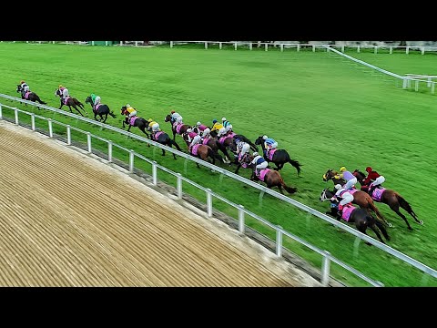 Jockey Clube Brasileiro 04/03/2018 GP Diana    -    Aune Filmes