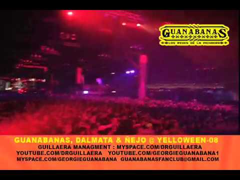 GUANABANAS JUNTO A ñEJO & DALMATA EN VIVO YELLOWEEN '08