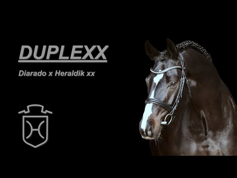 Duplexx Video