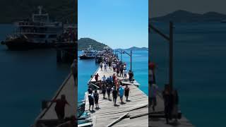 Download lagu Viral! A Wooden Bridge Full of People Suddenly Collapses #trendingshorts #shortsvideo #shortsviral mp3 Download lagu Viral! A Wooden Bridge Full of People Suddenly Collapses #trendingshorts #shortsvideo #shortsviral mp3