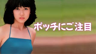 【松本伊代】よく目を凝らしてご覧ください