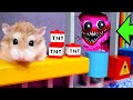 Amazing LEGO MINECRAFT STORIES with cute brave HAMSTERS