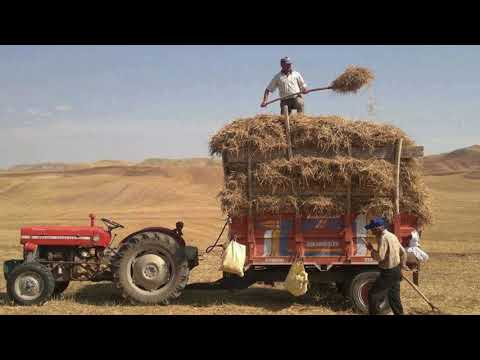 uzaklara götüren çok dertli köy türküleri - acıklı, dertli, ağlatan türküler dinle✔️