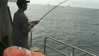 preview picture of video 'Deep sea fishing Sneem Ireland co kerry ireland'