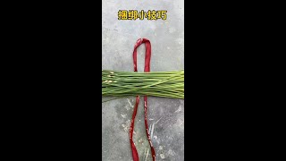 Download lagu 3xami3y83dtp7ra.mp4 mp3