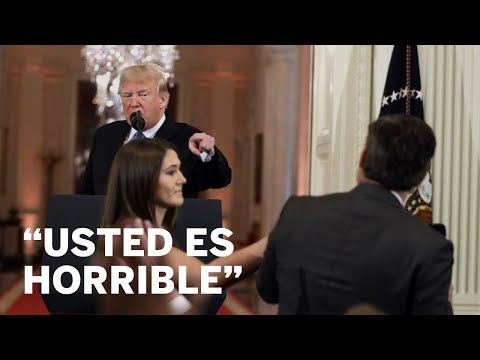 Trump confronts a CNN journalist