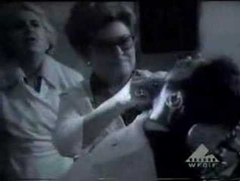 Prof. Maria Szulc uczestniczy w zabiegu dentystycznym 