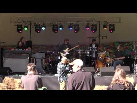 On The Spot Trio at Shuck And Jive Festival - McLaughlin Vineyards Sandy Hook, CT 10-10-2015