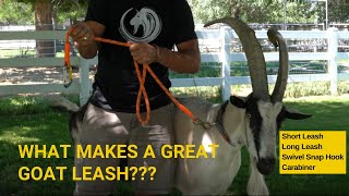 What Makes a Great Goat Leash