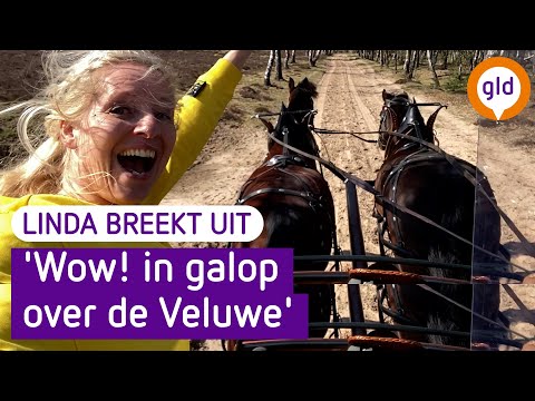 Linda breekt UIT! #9: 'Wow! in galop over de Veluwe' | Omroep Gelderland