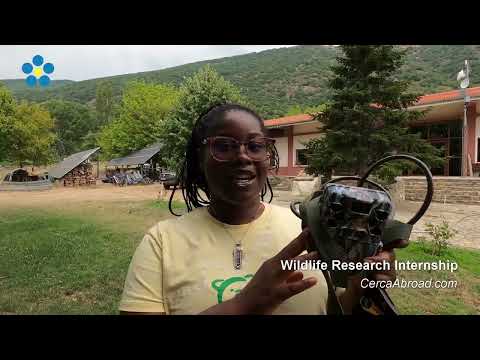 Wildlife Research in Greece — video 1
