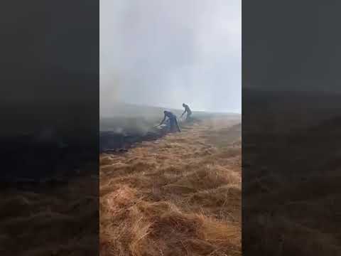 Կութ գյուղի հարակից տարածքում հրդեհաշիջումը շարունակվում է 