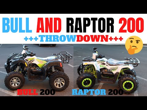TAOTAO RAPTOR BULL 200 ATV REVIEW | BEST CHINESE ATV FOR THE MONEY?