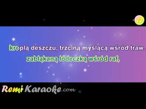 Anna Maria Jopek - Ale jestem (karaoke - RemiKaraoke.com)