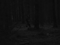 Trollkotze - Im Märchenwald ... ... (Pyrotechnick) - Známka: 4, váha: malá