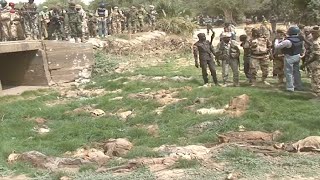 Boko Haram Massacre in Damasak
