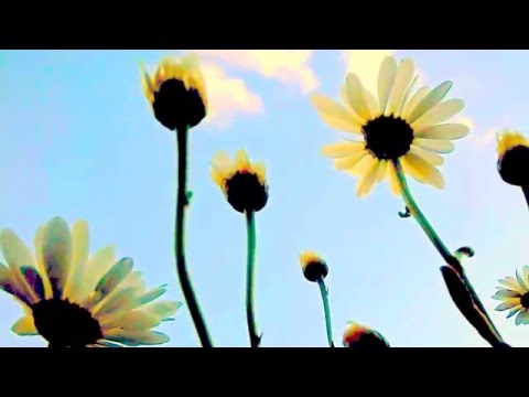 David Garrett & Andrea Bocelli MA DOVE SEI  Where Are You