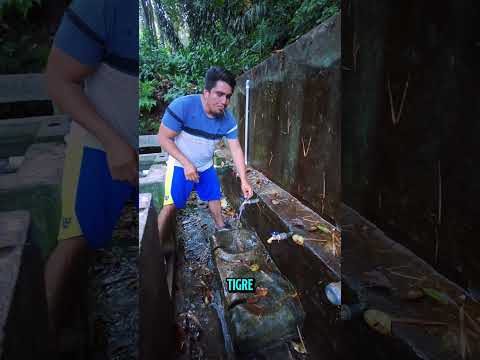 Agua de altura en el cerro El Tigre, Santiago de Maria, Usulután, El Salvador