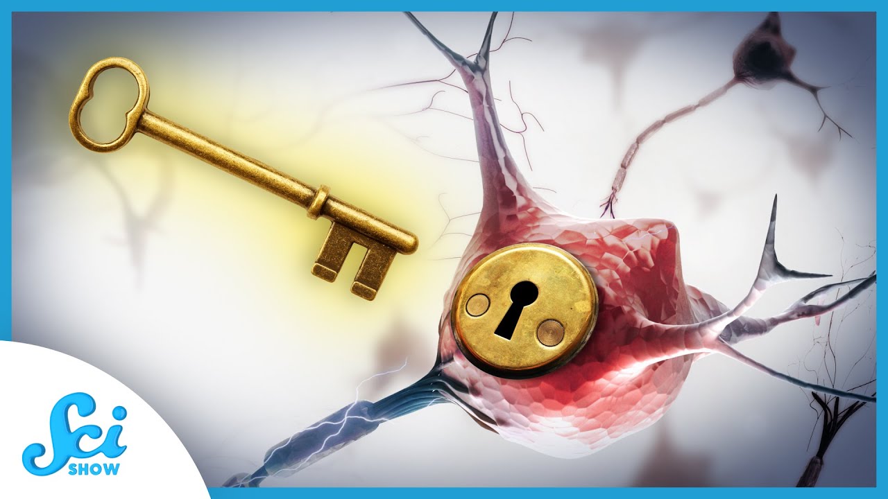 Remote Control Brain Receptors