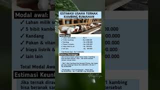 Download lagu Estimasi Biaya Usaha Ternak Kambing Rumahan #tipsbisnis #investasiusaha #belajarbisnis #ternak mp3