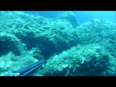 CERNIA A SANTA TERESA