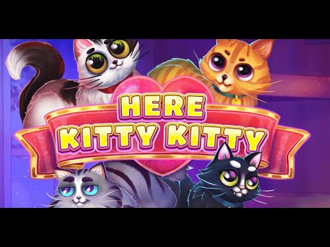 Here Kitty Kitty gameplay video