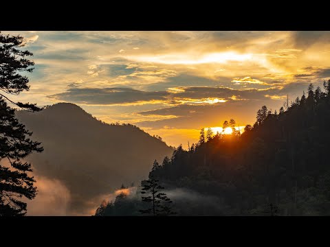 YouTube video about: What time is sunrise in gatlinburg tn?