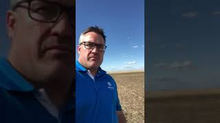 Sortan IS and Eclipse XC Corn Herbicides 