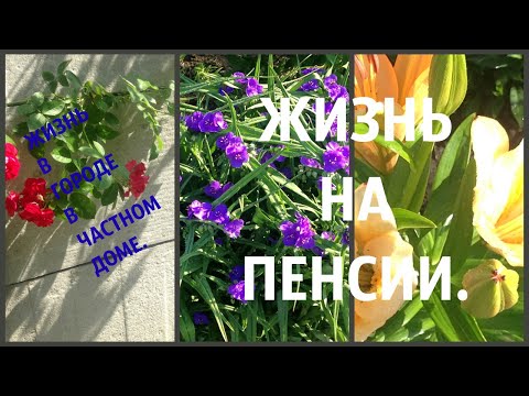 Покосила траву,  цветы и черешня .