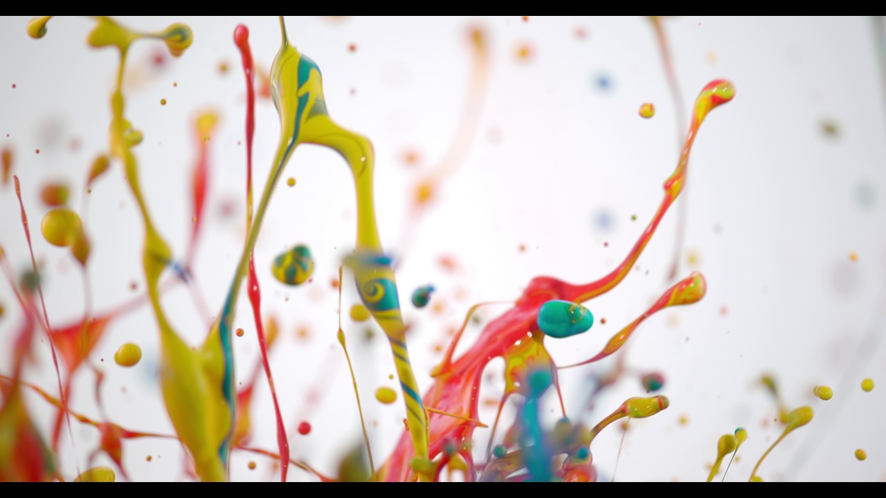 iStock 73197645 NATIVE 4K VIDEO