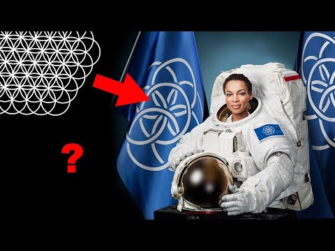 Geometria Sagrada Séries - A Flor Da Vida 3