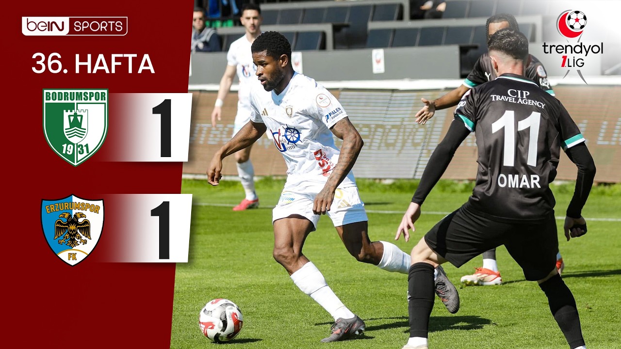 Bodrum FK vs Erzurumspor FK Highlights