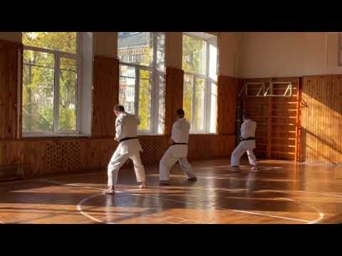 SKIF 4 and 5 dan examenation ( Ukraine 2021)