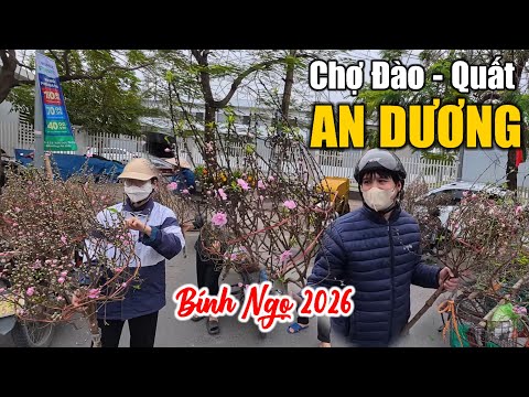 An Duong Peach and Kumquat Market for Tet (14th day of the 12th lunar month) | February 1, 2026.