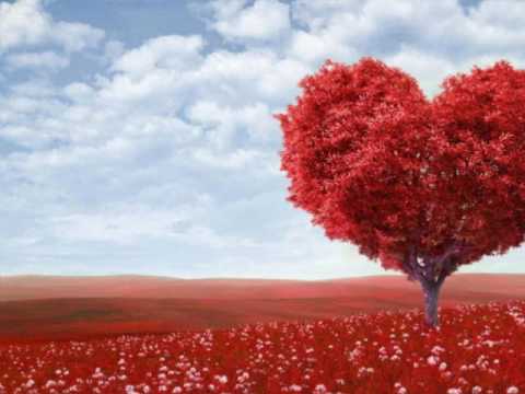 video frame placeholder