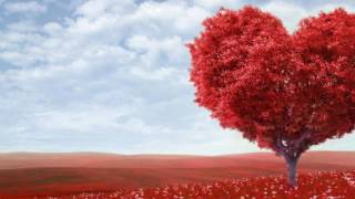 Piccola mela - Francesco De Gregori