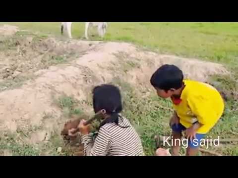 Wow Amazing children catch a big snake with bare hand how to catch snake in cambodia 2017