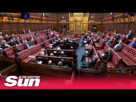 Protesters disrupt the House of Lords as they debate anti-protest laws