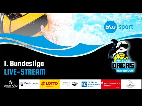 🏐 1. Bundesliga Wasserball | Potsdam Orcas vs. Duisburger SV 1898 | 2. Spieltag | Live aus Potsdam