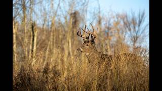 What to know about Iowa's new deer hunting zones