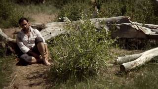 BRIGHTWOOD「Swan Song」