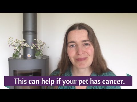 This can help if you dog or cat has a cancer diagnosis.