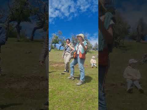 MICOTURISMO en SIERRA COLORADA || #trevelin #chubut #patagonia || #hongos #fungi  #viralvideo